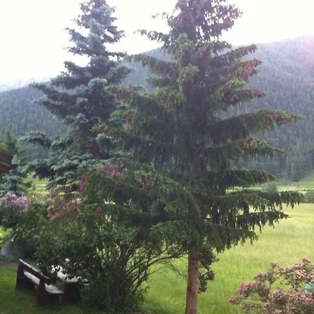 Pizzeria Selva 3* Zernez