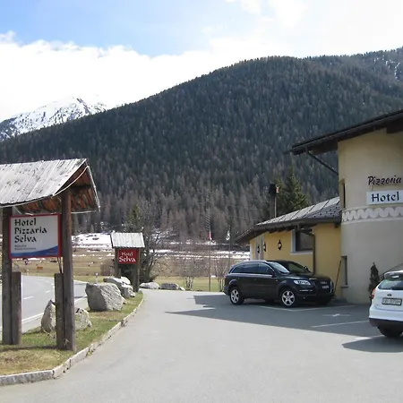 塞尔瓦比萨店酒店 策尔内茨