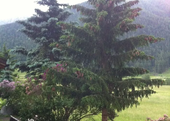 Pizzeria Selva 3* Zernez